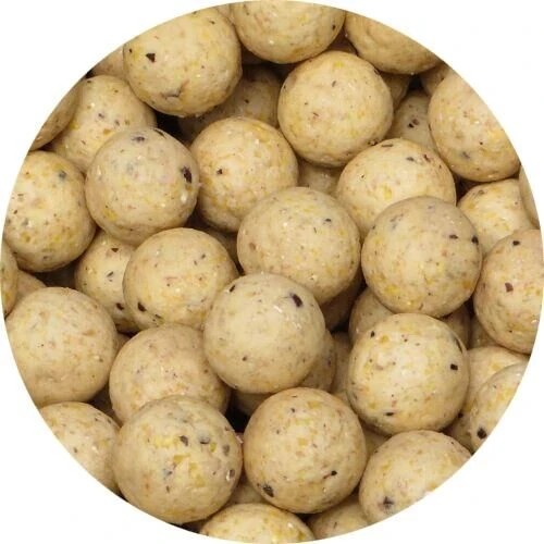 Private Label Hemp Tigernut 20mm 5kg 3 Private Label Hemp Tigernut 20mm 5kg