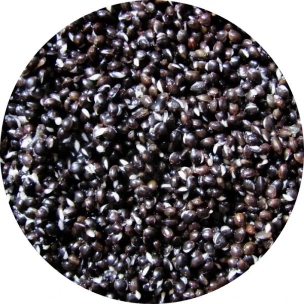 Eurotackle Hennep 5kg Ready To Fish 3 Eurotackle Hennep 5kg Ready To Fish