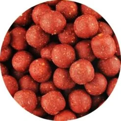 Private Label Premium Scopex Squid 20mm 5kg