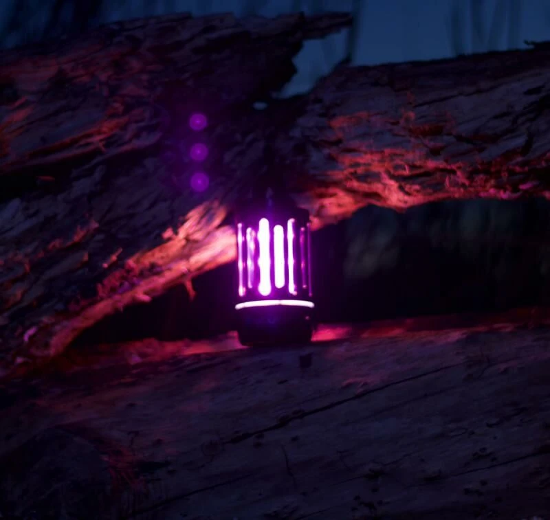 Wolf Mozzi Zappa 4 Wolf Mozzi Zappa - Afbeelding 2