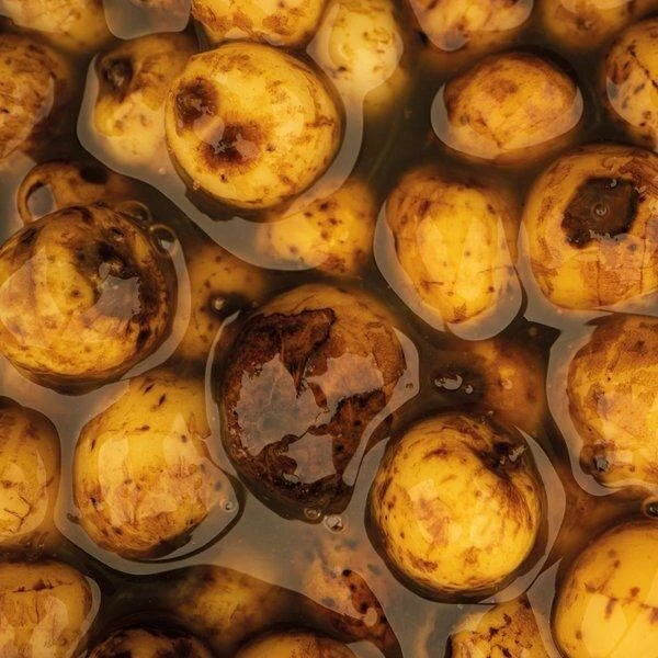 Nash Sweet Tigernuts 4 Nash Sweet Tigernuts - Afbeelding 2