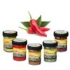 Berkley Powerbait Trout Bait Spices 2 Berkley Powerbait Trout Bait Spices -Verkoop Van Visgerei 4322275Berkley Powerbait Trout Bait Spices 1