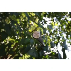 Nash Entity 12ft 3.00lbs Full Shrink 11 Nash Entity 12ft 3.00lbs Full Shrink -Verkoop Van Visgerei 4324471Nash Entity 12ft 3 00lbs Full Shrink 2