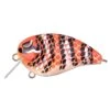 Spro Baby Fat John 50 Milk Snake -Verkoop Van Visgerei 862945xctmpEqK53F